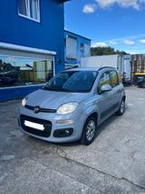 Fiat Auto PKW Fiat Panda - Fiat Panda Gebrauchtwagen in Hamburg