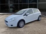 Fiat FIAT Grande Punto 1.2 BENZ 69 CV 5 porte ADATTA  - gebrauchte Fiat Grande Punto aus dem Jahr 2011