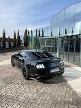 Ford Mustang GT 5.0 V8 | Deutsches Modell | All Black - Ford Model a Gebrauchtwagen