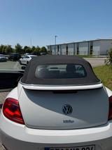 Volkswagen Beetle 1.4 TSI CUP Cabriolet CUP - VW Beetle Gebrauchtwagen in Bremen