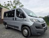 Fiat Ducato Kombi 33 115 L1H1 Doppelklima 9 Sitzer - Fiat Ducato Gebrauchtwagen in Frankfurt