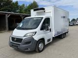 Fiat Ducato 150 3Achsen*Carrier*Koffer3,8m*Klima* - Angebote