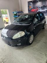Fiat punto 2011 zu verkaufen.. - Fiat Punto aus 2011 mit Diesel-Antrieb