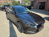Mazda CX-30 AT SELECTION DES-/PRE-P LEDER GSD - Mazda CX-30 mit Schiebedach