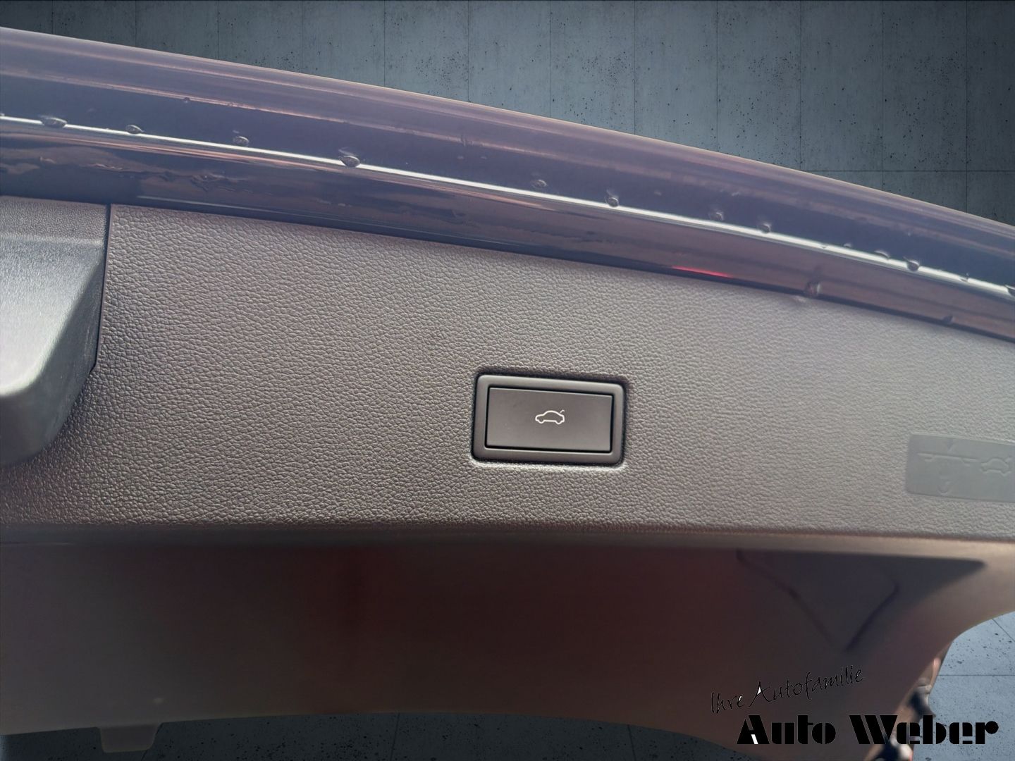 Volkswagen T-Roc - Bild 13