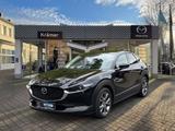 Mazda CX-30 L SKYACTIV-G 2.0 M Hybrid 6GS AL-SELECTION - Mazda CX-30 Selection mit Hybrid-Antrieb (Benzin/Elektro)