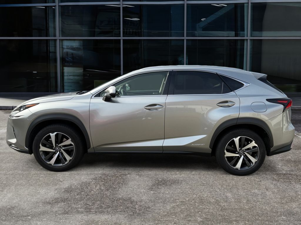 Fahrzeugabbildung Lexus NX 300h E-FOUR Luxury Line