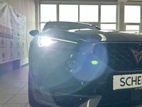 Cupra 