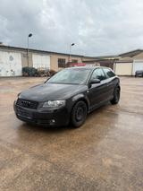 Audi A3 8p 2.0 TDI S-Line 140PS TÜV NEU - Audi A3 aus 2004: Line