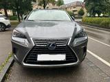 Lexus NX 300 300h - - Lexus: Nx