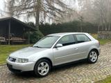Audi A3 1.9TDI 131PS Quattro,6Gang,1Hand,DPF!!! - Audi A3 aus 2003: 1.9