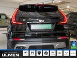 Cadillac XT4 Sport AWD Panorama Navi Voll-Leder Voll-LED  - Cadillac XT4 Gebrauchtwagen