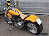Harley-Davidson Softail Custom| Cohiba Cigars| 300er Reifen - HARLEY-DAVIDSON 300