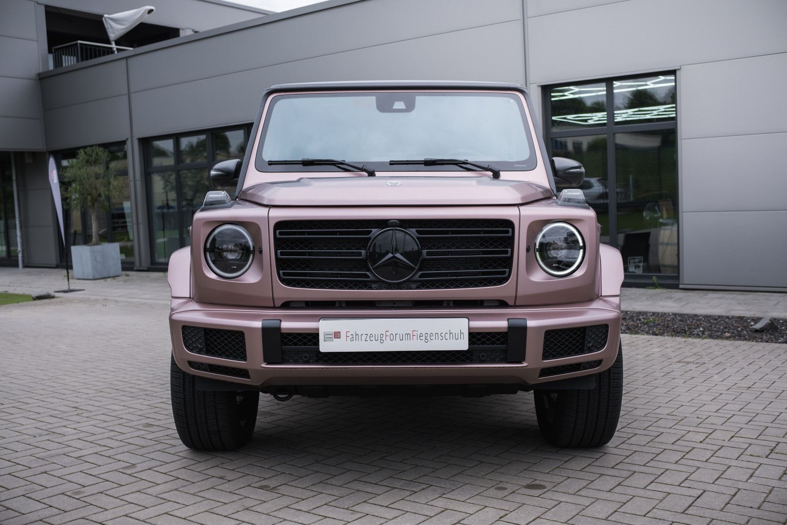 Fahrzeugabbildung Mercedes-Benz G 500 STRONGER THAN DIAMONDS 1of300-20KM!