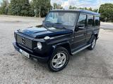 Mercedes-Benz G 500  - Mercedes-Benz G 500 aus 2002