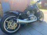 Harley-Davidson V-Rod Muscle 2009  - HARLEY-DAVIDSON V ROD MUSCLE
