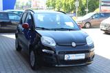 Fiat Panda Lounge - Fiat Panda: Schwarz