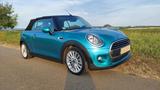 MINI One Cabrio One Ausstattung "Pepper" Bestzustand - scheckheftgepflegte MINI One Cabrio