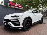 Lamborghini Urus Bianco Monocerus B&O Top Zustand - Lamborghini Gebrauchtwagen in Köln