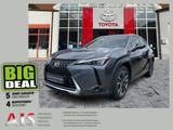 Lexus UX 250h Style Edition CloudNavi*KAM*DAB*SHZ - Lexus aus 2023