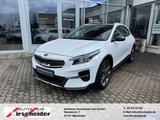 Kia XCeed Platinum Edition*El Panodach*Leder*Dig Coc - Kia XCeed Gebrauchtwagen