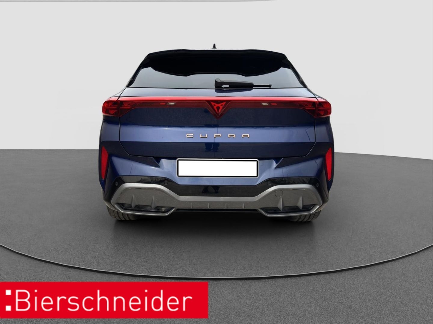 Cupra Terramar - Bild 6
