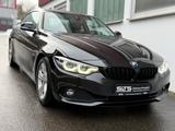 BMW 420i Coupe *Advantage *LED *DTC *ADK *Automatik - gebrauchte BMW 420 aus dem Jahr 2017