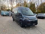 Fiat Ducato 35 L2H2 AHK CarPlay RüKa Navi Allwetter - Fiat Ducato: L2h2