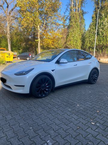 Tesla Model Y Performance Dual Motor AWD Performance