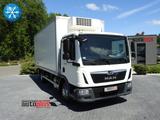 MAN TGL 10.180 KÜHLKOFFER -20C 11 PALETTEN - MAN 10 180