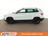 Skoda Karoq 2.0 TDI Style 4x4 Aut.*NAVI*LED*ACC*SPUR* - Skoda Karoq in Frankfurt (Main)