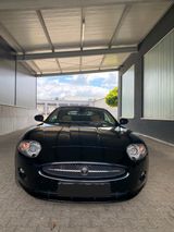Jaguar XK 3.5L V8 Cabriolet -Navi Xenon Leder 20" Alarm - Jaguar: 8