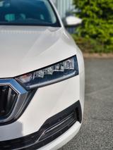 Skoda Octavia Combi First Edition, LED, AHK, 1 Hd. - Skoda Gebrauchtwagen in Delmenhorst