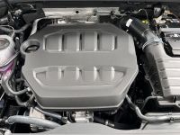 CUPRA Terramar VZ 2.0 TSI DSG 4Drive LEDER AHK 5J GAR bei Autohaus Landmann & Maier OHG