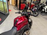 Honda CB650R mit 4cm Tieferlegung *Service neu* - HONDA 650 R