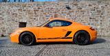 Porsche Cayman S Sport Sport , 000-700 , 1- , Sammler ! - Porsche: Orange