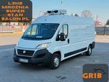 Fiat DUCATO Kühlkastenwagen L3H2 Zanotti TOP - Fiat Ducato l3 h2