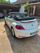 Volkswagen Beetle 2.0 TDI 81kW BMT Cabriolet - - Volkswagen Beetle: TDI