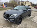 Mercedes-Benz ML 250 BlueTEC 4MATIC - - Mercedes-Benz ML 250: Grau