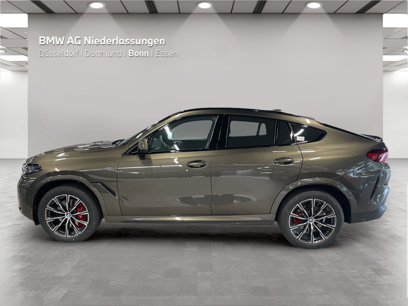 BMW X6 - Bild 5