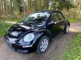 Volkswagen NEW BEETLE CABRIOLET , schwarz, Benziner, ... - gebrauchte VW New Beetle aus dem Jahr 2010