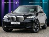 BMW X5 xDrive30d M Sport ACC AHK PANO K360° H&K KoZg