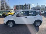 Fiat Panda MY24 1.0 Klima PDC Citypaket - Fiat Panda aus 2025