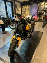 Triumph Trident 660 * neues Modell * 2025 * T O P - TRIUMPH MOTORRAD TR6