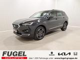 Seat Tarraco 2.0 TDI Xcellence Winter|LED|virt.Cock.| - graue Seat Tarraco