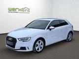 Audi A3 Lim. 1,6 TDI Sport Xenon Alu Navi DSP SH - Audi A3: 1.6