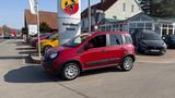 Fiat Panda Red - Fiat Panda Vorführfahrzeuge