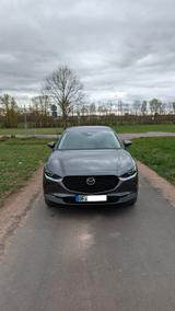 Mazda CX-30 - Exclusive-Line - top Zustand - Mazda CX-30 Gebrauchtwagen in Frankfurt
