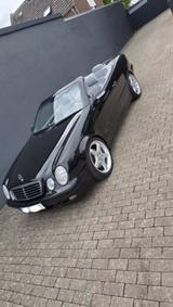 Mercedes-Benz Mercedes CLK 230 Kompressor Cabrio Eleganc... - Mercedes-Benz CLK 230