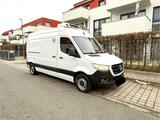 Mercedes-Benz Mercedes Sprinter 314 CDI Kühlwagen Webast... - : Kühlwagen